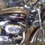 Harley Davidson Sportster XL1200 Custom 2005