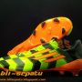 sepatu sepakbola adidas f50 battle pack world cup brasil, f50 crazy light, samba