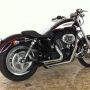 Harley Davidson Sportster XLR 1200 2006