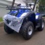 BeeHappy Motor ATV JS_250cc