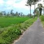 Tanah 1500 Meter di jalan palagan KM 10,5 Sleman Yogyakarta
