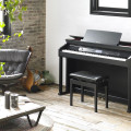 Harga spesial Digital Piano Celviano Casio AP 650