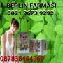 082136739292 - BB 260F7913 Penjual Meizitang Obat Pelangsing Badan Herbal Original 3 bonus 1