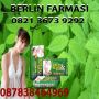 082136739292-BB 260F7913 Penjual Tensung Pemutih Muka Herbal Di Purworejo, Kulon Progo, Prambanan,