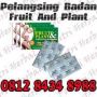 FRUIT PLANT PELANGSING TUBUH CEPAT MENURUNKAN BERAT BADAN 10-20kg | 081284348988 JAKARTA SURABAYA