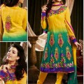 anarkali best embroiderry 30