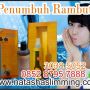 HAIR TONIC PENUMBUH RAMBUT &amp; PENGHILANG UBAN,KETOMBE CALL 085287957888