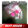 085743110754 PIN BB 260F7913 Jual Cream Qweena Skin Care Original 100% Herbal Alami