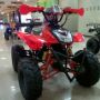 ATV 110cc RING 8 TYPE LAMDA