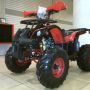 MOTOR ATV 110cc NURO RING 8