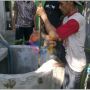 Ahli sumur yogyakarta & service pompa air jogja