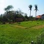 Land for sale in Tanah Lot