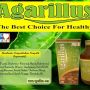 Obat Herbal Agarillus