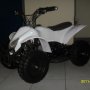 Motor Roda 4 ATV mini (bensin)