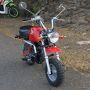 Honda Mongkay 110cc