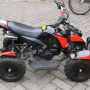 ATV Quad Bike 50cc Double Stater