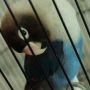 Lovebird Dakocan Biru (Wisata Kicau)