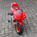 Mini GP 50 cc