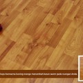 Laminate Floor Homega YB 003 LF