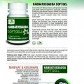 habbatussauda softgel herbal ajaib penyembuh nutrisi vitamin suplemen