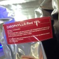 Carophyll Red