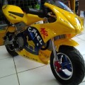 Motor Mini GP 50cc Untuk Anak