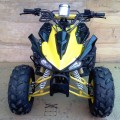 New ATV Raptor Ring 8 110cc