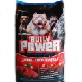 BULLY POWER Dog Food (PROMO)