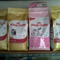 Royal Canin Cat Food Murah (PROMO)