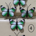 kupu kupu magnet import hijau,butterfly dekorasi suvenir hiasan 3D