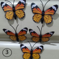 kupu kupu magnet import orange,butterfly dekorasi suvenir hiasan 3D