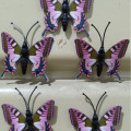 kupu kupu magnet import pink,butterfly dekorasi suvenir hiasan 3D merah muda