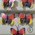 kupu kupu magnet import rainbow,butterfly dekorasi suvenir hiasan 3D