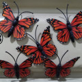 kupu kupu magnet import,butterfly dekorasi suvenir hiasan 3D orange2