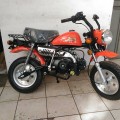 Honda Mongkay Orange 110cc