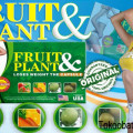 WA 0822 2828 0303 Jual Fruit & Plant Pelangsing Badan Di Jogja