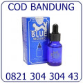 Jual Blue Wizard Obat Perangsang Wanita Bandung COD 082130430443