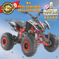 Wa O82I-3I4O-4O44, penjual  motor atv 125 cc harga murah  Kota Sibolga